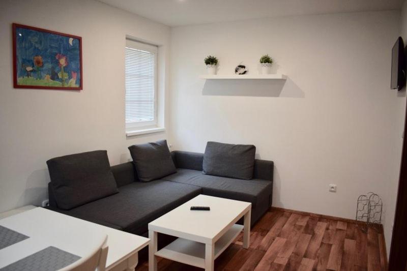 Apartmány pod sjezdovkou Cenkovice Exterior foto